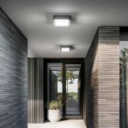 LED udendørs loftlampe Diuk, mørkegrå, metal, IP65
