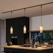 Paulmann URail lampeskærm Vitus 2Easy, træ, Ø 11 cm