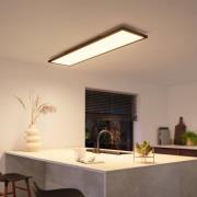 Philips Hue Panel White Ambiance Aurelle 120 x 30 cm sort