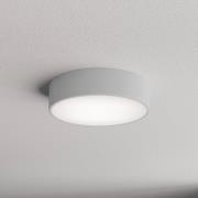 Loftlampe Cleo 300, grå, sensor, IP54, Ø 30 cm, metal