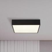 LED-loftlampe til badeværelset Zeus, sort, længde 30 cm, metal