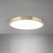 LED-loftlampe Disc, antik messingfarve, Ø 28 cm, CCT