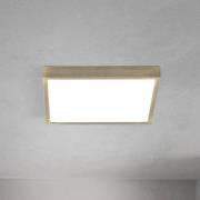 LED-loftlampe Disc, messingfarvet antik, længde 24 cm, CCT