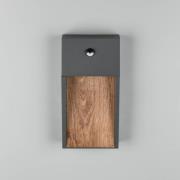 LED-sensor-udendørs LED-væglampe SALMON, trælook, højde 33 cm IP44