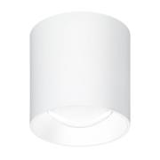 LED udendørs loftlampe 5174, hvid, 9 cm, metal, IP54, CCT