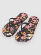 O'Neill Profile Graphic Sandaler sort