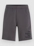 O'Neill Future Surf Society Shorts sort