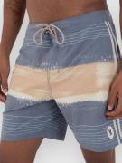 Hurley Phntm Naturals Tlgt 18' Boardshorts grå