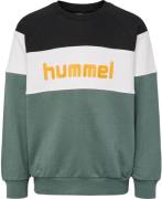 Hummel Claes Sweatshirt Drenge Spar2540 Grøn 104