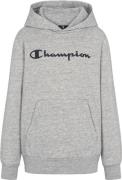Champion Hooded Sweatshirt Drenge Tøj Grå L