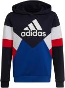 Adidas Colorblock Fleece Hættetrøje Drenge Hoodies Og Sweatshirts Sort...