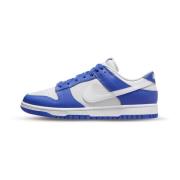 Kentucky Alternate Dunk Sneakers