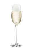 Champagneglas Fontaine, 21 cl
