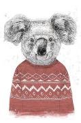 Plakat Winter Koala (Red)