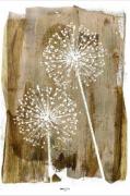 Malerifabrikken - Plakat White Dandelion - Beige - Posters - - Homeroo...