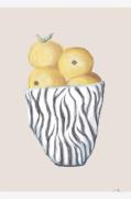 Pelcasa - Plakat Zebra Bowl - Beige - Posters - - Homeroom