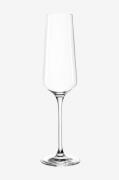 Leonardo - Champagneglas PUCCINI 6-pak - Transparent - Vinglas - - Hom...