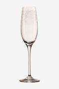 Leonardo - Champagneglas CHATEAU 6-pak - Transparent - Vinglas - - Hom...