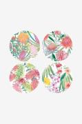 Maxwell & Williams - Glasbrikker Native Blooms 4-p - Hvid - Bar- & dri...