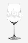 Nachtmann - Vin/Spritz Tattoo Botanical White 2-pak - Transparent - Vi...