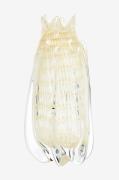 BePureHome - Vase krone - Hvid - Urtepotteskjulere & vaser - - Homeroo...
