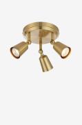 Markslöjd - Loftslampe Tiny - Messing - Spotlights - - Homeroom