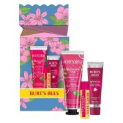 Burts Bees You’re one In A Melon Lip Gift Set