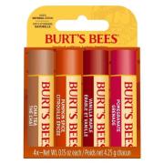 Burt's Bees Fall Limited Edition Blister 4 pcs