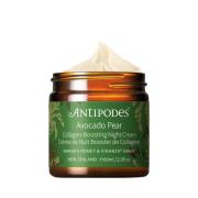 Antipodes Avocado Pear Nourishing Night Cream 60 ml