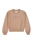 Abercrombie & Fitch Sweatshirt  brun