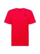 Jordan Bluser & t-shirts 'JUMPMAN'  grenadine / sort