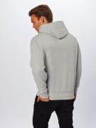 Polo Ralph Lauren Sweatshirt  grå