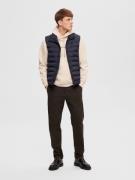 SELECTED HOMME Vest 'Barry'  natblå