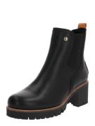 PANAMA JACK Chelsea Boots 'Pia Igloo Travelling'  sort