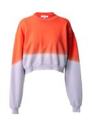 FRAME Sweatshirt  lilla / orangerød