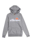 ELLESSE Sweatshirt 'Jero'  grå / orange / lys rød / hvid