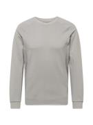 4F Sportsweatshirt  grå