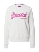 Superdry Sweatshirt  grå-meleret / pink
