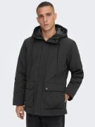 Only & Sons Vinterparka 'Jayden'  sort