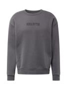 HOLLISTER Sweatshirt  sort