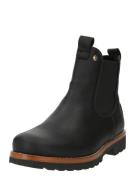 PANAMA JACK Chelsea Boots 'Grass'  sort