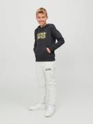 Jack & Jones Junior Sweatshirt 'Dust'  lysegul / grå / antracit / hvid