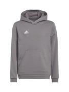 ADIDAS PERFORMANCE Sportsweatshirt 'Entrada 22 Sweat'  grå-meleret / h...