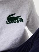 LACOSTE Sweatshirt  grå-meleret / mørkegrøn