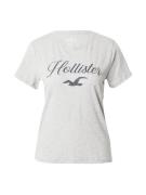 HOLLISTER Shirts  navy / grå