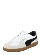 PUMA Sneakers 'Palermo'  gylden gul / røggrå / sort / hvid