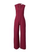 Closet London Jumpsuit  burgunder