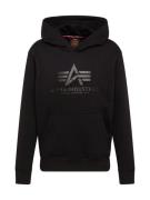 ALPHA INDUSTRIES Sweatshirt  mørkegrå / sort