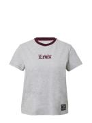 LEVI'S ® Shirts 'Graphic Classic Tee'  grå-meleret / bordeaux