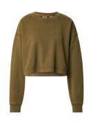 LEVI'S ® Sweatshirt 'Roonie Crop Sweatshirt'  oliven